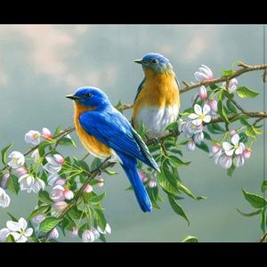 Meet your Posher, Armida